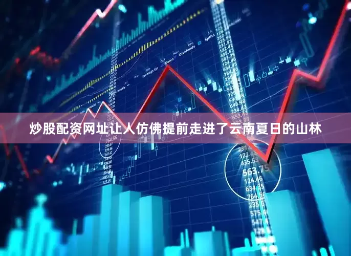 炒股配资网址让人仿佛提前走进了云南夏日的山林