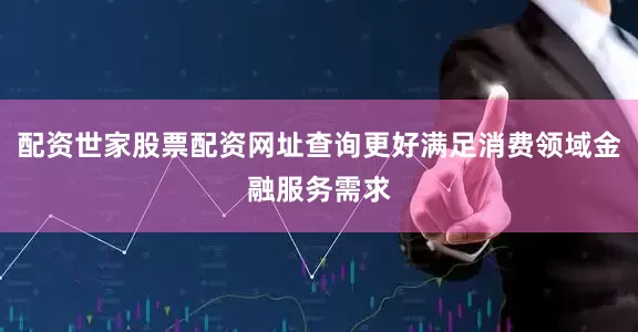 配资世家股票配资网址查询更好满足消费领域金融服务需求