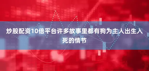炒股配资10倍平台许多故事里都有狗为主人出生入死的情节