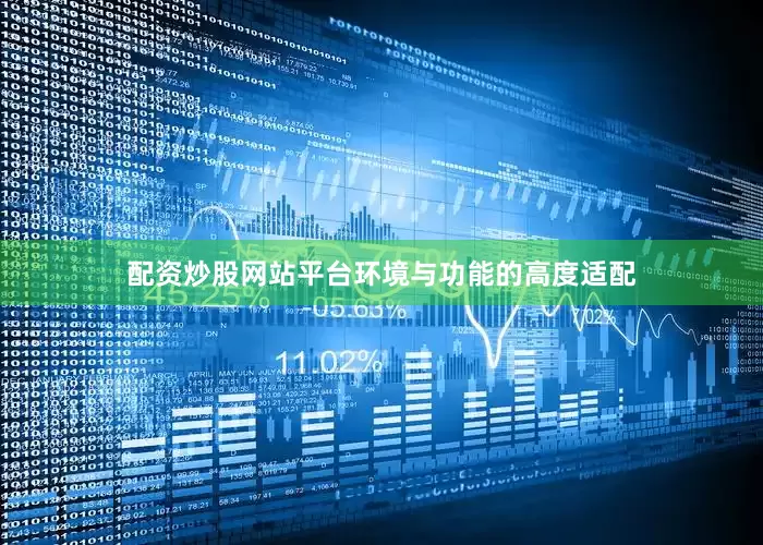 配资炒股网站平台环境与功能的高度适配